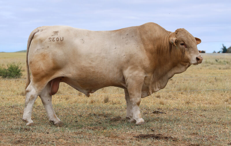 IMG 3757 e1768353945524