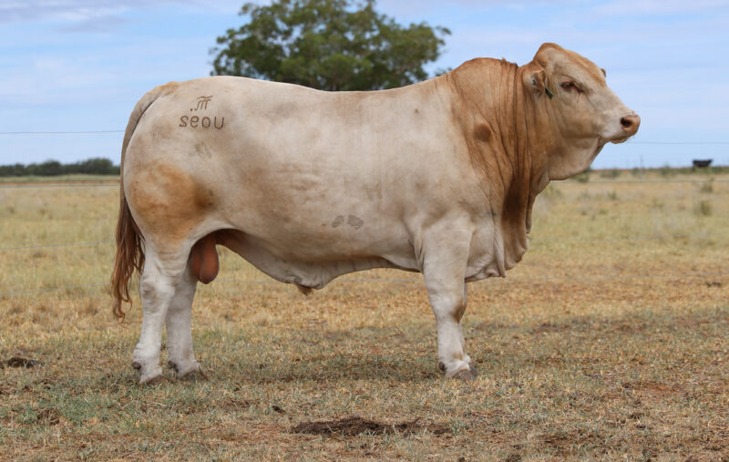 IMG 3766 e1768354694240