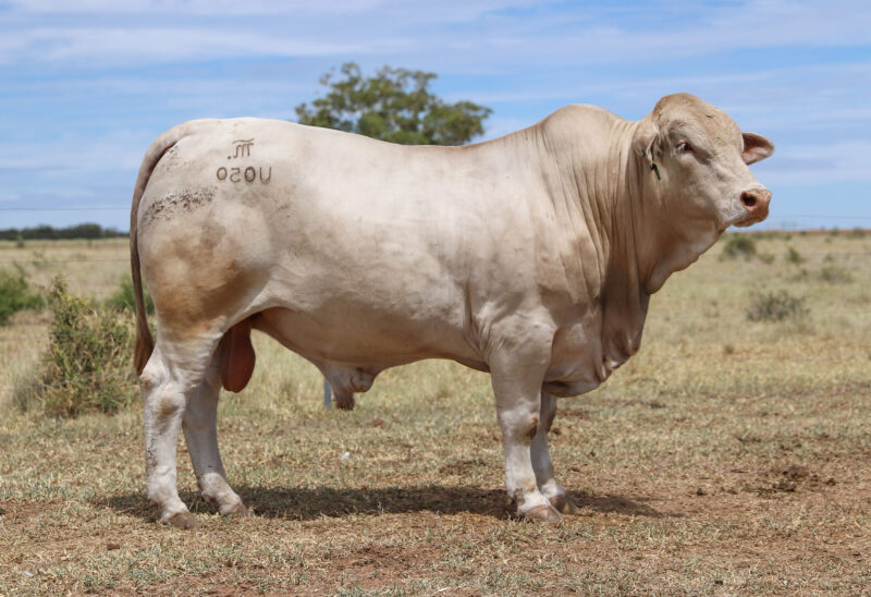 IMG 3810 e1768353855380