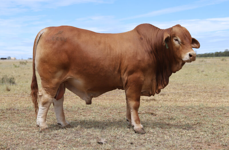 IMG 3825 e1768353711809