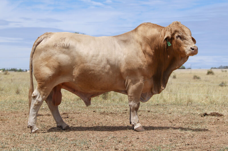 IMG 3865 e1768353399873