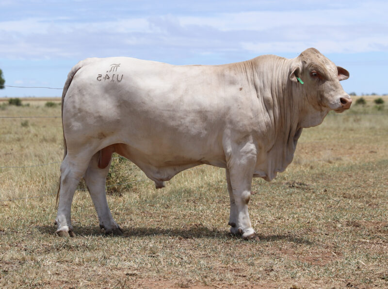 IMG 3878 e1768354596674